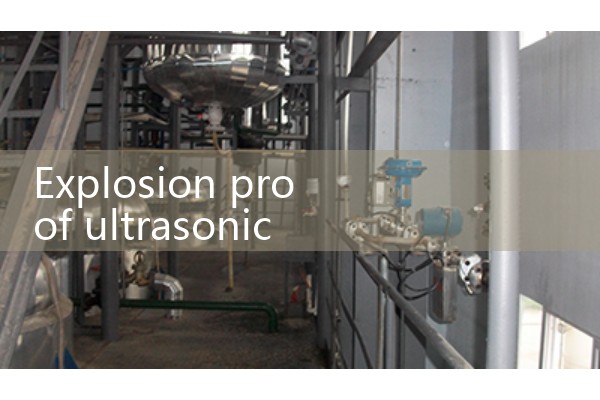 Explosion proof ultrasonic flowmeter